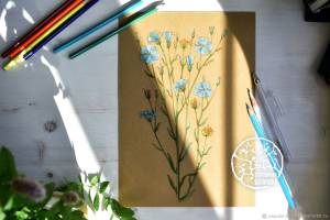 Раскраска антистресс «Лён №2