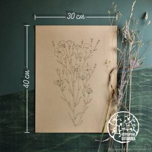 Раскраска антистресс «Лён №2