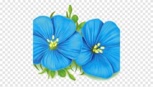 Лен Линум Перенне Растения Кислота Гра Омега-3 Семена, растения, синий, масло png