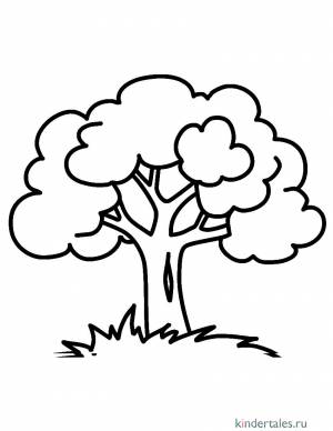 Дерево дуб» раскраска для детей