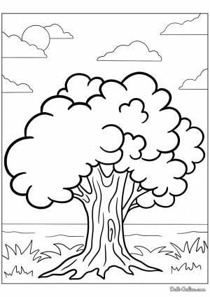 Раскраска Дуб для детей