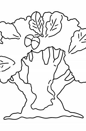 Раскраска дуб ♥ Скачать, Онлайн и !