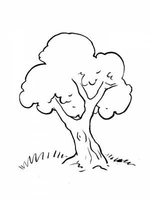 Раскраска Дуб  картинку