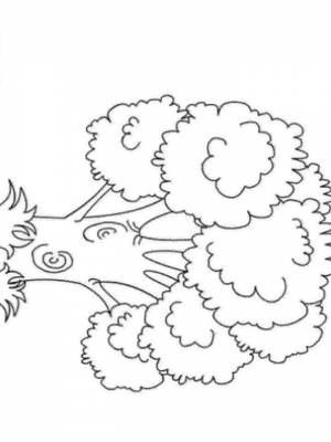 Раскраска Дуб  картинку онлайн