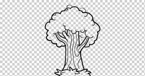 Рисунок Книжка-раскраска Дуб, цвет лес, Акварельная живопись, белый, ребенок png