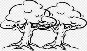 Дерево Дуб Рисунок, раскраска, белый, млекопитающее, рука png