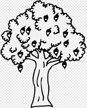 Штриховые рисунки Геральдика Дуб, дубовые листья, белый, карандаш png