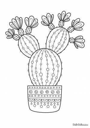 Раскраска Кактус арт-терапия