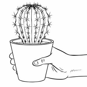 Кактус в руке