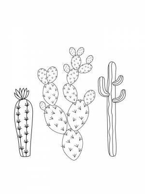 Раскраска Кактус  листе