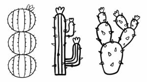 раскраски кактусов для детей