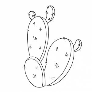 Кактус наброски векторные иллюстрации страница раскраски