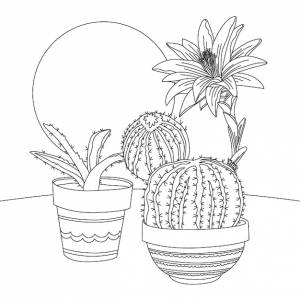 Раскраска кактуса Изображения
