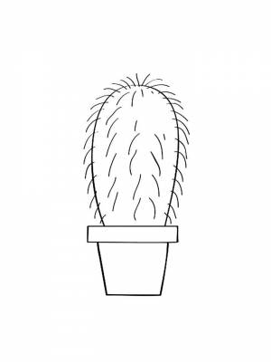 Раскраска Кактус   в формате