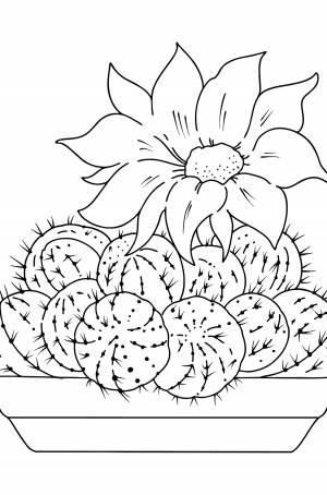 Раскраска красивый Кактус ♥ Онлайн и !