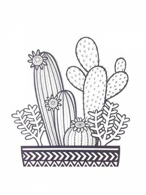 Картинка Кактус  в формате  для детей