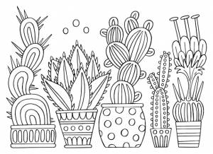 Раскраска страницы комнатные кактусы цветы в горшках каракули домашние растения рисованная линия художественная книжка-раскраска