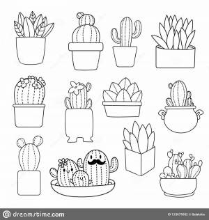 Раскраски Кактусы милые