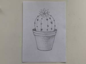 Как нарисовать кактус карандашом поэтапно