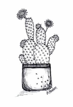 Раскраски кот кактус