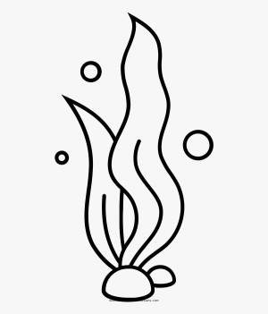 Раскраски Водоросли для детей