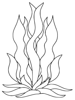 Водоросли раскраска