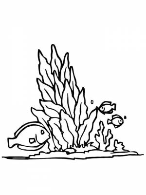 Раскраска Водоросли черно белая для девочек