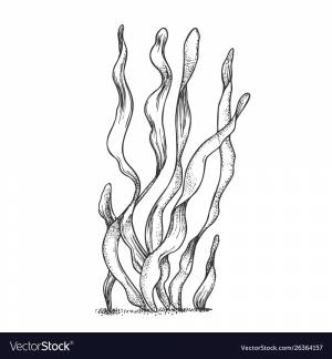 DataLife Engine > Версия для печати > Трафарет водоросли