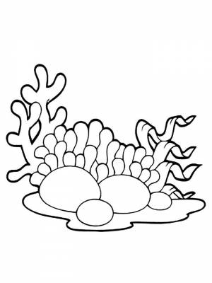 Раскраски Водоросли   в формате