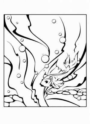 Раскраска Водоросли