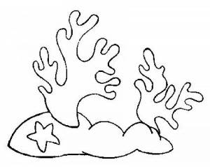 Раскраски водоросли морские