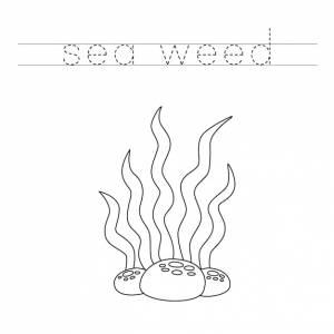 Проследите буквы и раскрасьте мультяшные морские водоросли практика почерка для детей