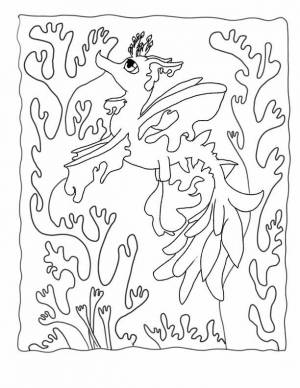 Раскраска Водоросли