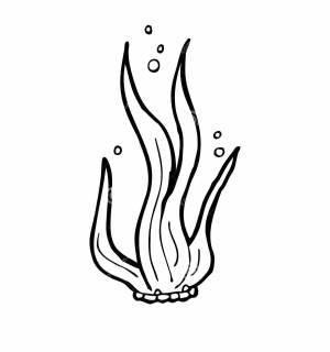 Раскраски Раскраска Морские растения водоросли детские