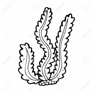 бесплатные раскраски с водорослями раскраски детские подводный мир