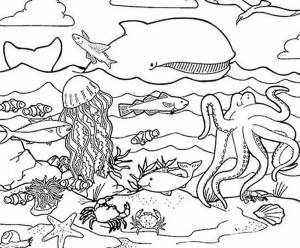 Раскраски Океан для детей