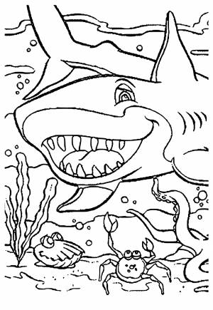 Раскраска Океан Акула