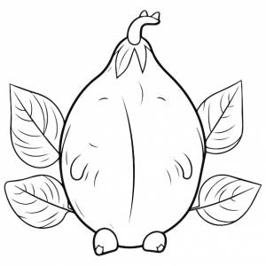 Раскраска авокадо, векторная иллюстрация для печати