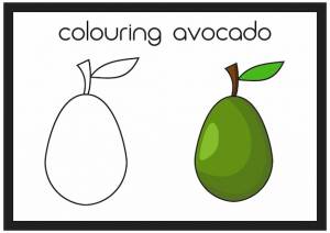 Раскраска авокадо для детей