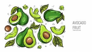 Набор ручной рисунок авокадо