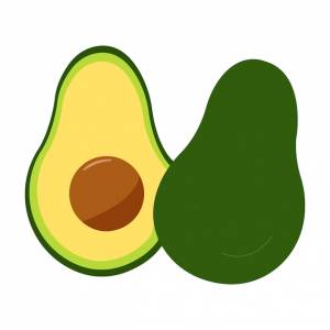 Фрукты авокадо, изолированные на белом фоне