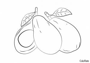 Раскраска Авокадо