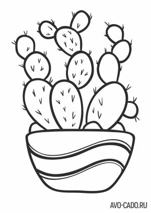 Раскраски кактусы