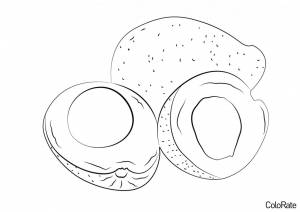 Раскраска Авокадо на перекус