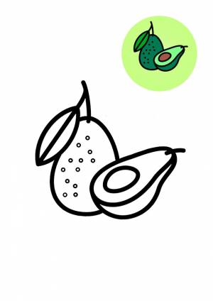 Раскраски авокадо