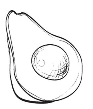 Раскраски Раскраска Авокадо фрукты