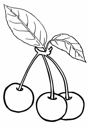Раскраска Фрукты Вишня