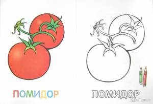 Иллюстрация 1 из 18 для Раскраска для малышей