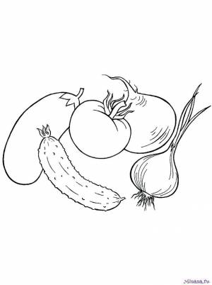 Раскраска овощи 9