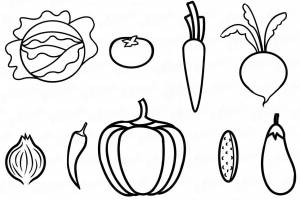 Рисунок карандашом фрукты и овощи